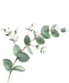 Image is not available